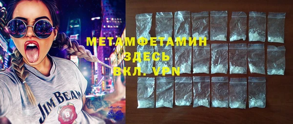 ГАЛЛЮЦИНОГЕННЫЕ ГРИБЫ Козловка