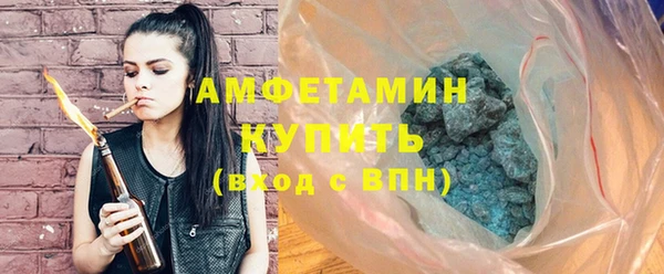 ГАЛЛЮЦИНОГЕННЫЕ ГРИБЫ Козловка