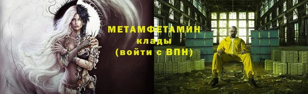 ГАЛЛЮЦИНОГЕННЫЕ ГРИБЫ Козловка