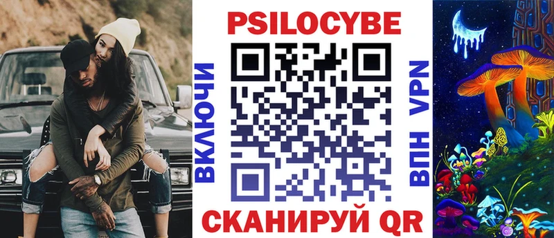 где купить   Ковылкино  Псилоцибиновые грибы мухоморы 